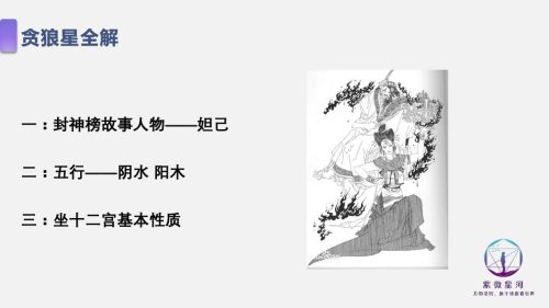 为什么贪狼坐命大多是美女(贪狼坐命的女明星)插图1