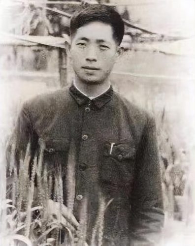 袁隆平的成就100字 (袁隆平的经历)插图6