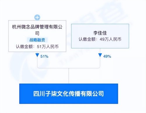 李子柒事件是怎么回事(李子柒事件)插图11