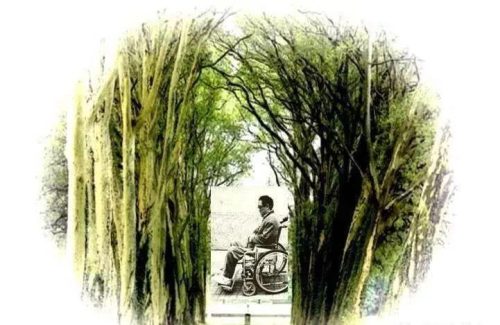 史铁生《我的母亲》原文(史铁生《母亲》)插图2