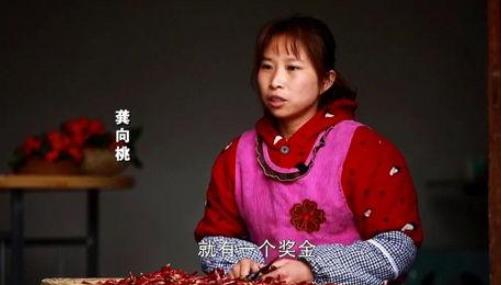 桃子姐是哪家公司的 (桃子姐姐团队叫什么)插图6