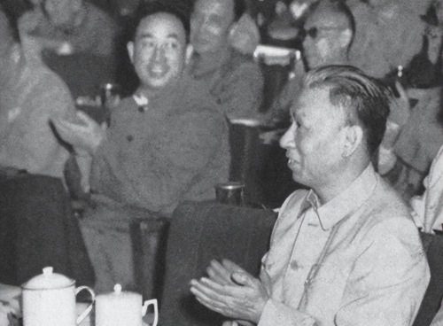 中国的伟人有哪些人(中国现代的伟人有哪些人)插图12
