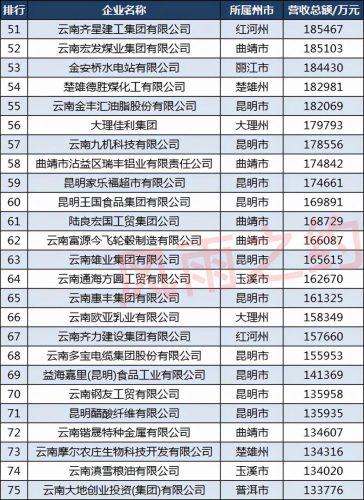 云南前100强企业名单最新排名(云南前100企业名单)插图4