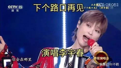 李宇春个人资料简介(李宇春)插图14