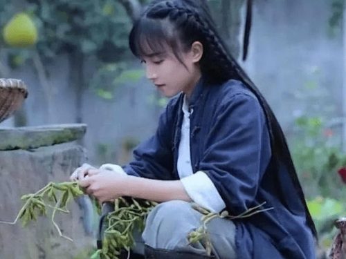 李子柒事件是怎么回事(李子柒事件)插图13