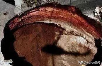 世界真实灵异事件记录(世界真实灵异事件)插图6