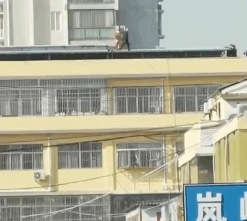 天狼突击队三位牺牲英雄(天狼突击队牺牲了多少人)插图10