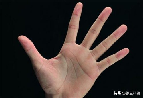断掌纹的男人婚姻怎么样(双手断掌的男人感情和婚姻)插图16