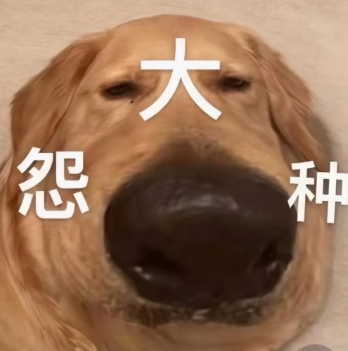 我真的会谢什么意思(我真的会谢是什么意思网络用语)插图13