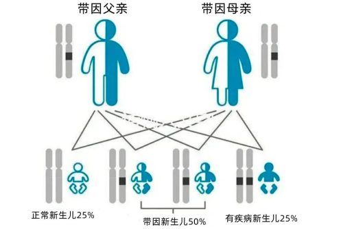 人类以后还会进化吗(现在人类还在进化吗)插图3