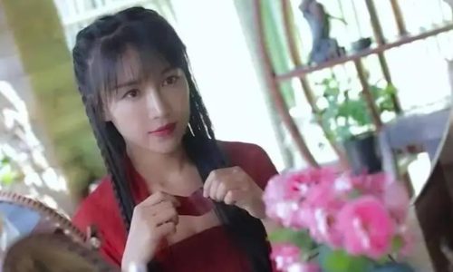 李子柒事件是怎么回事(李子柒事件)插图12