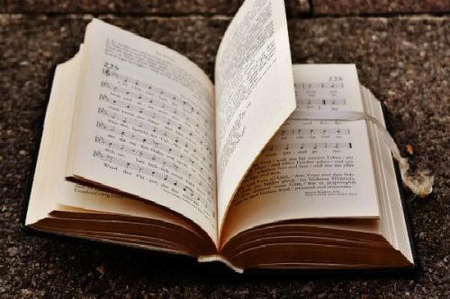 袁隆平事迹简短70字(袁隆平事迹50个字)插图