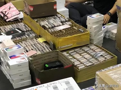 陈金陵故事是真的吗(陈金陵到底是真是假)插图2