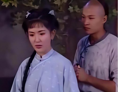 谢娜个人资料简介(张杰个人资料简介)插图10
