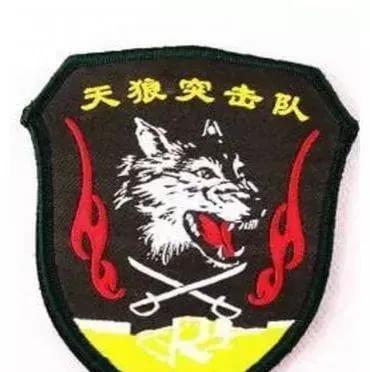 天狼突击队三位牺牲英雄 (对印作战牺牲的特种兵温涛)插图5