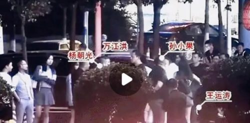 孙小果为什么像李(孙小果长得像谁)插图6