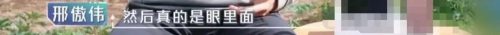 吴奇隆和刘诗诗什么时候离的婚(吴奇隆和刘诗诗有宝宝了吗)插图95