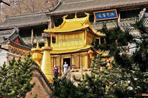 五台山在哪个省哪个市(五台山在哪个省哪个市什么地方)插图1