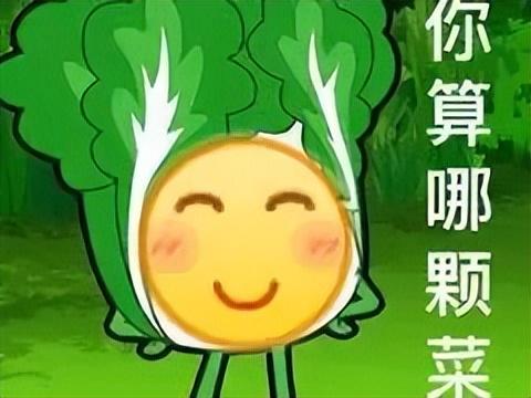 小趴菜什么意思(小趴菜是什么意思)插图5