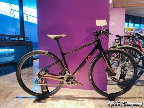 2022款捷安特tcr价格表(捷安特2016款tcr价格表)插图11