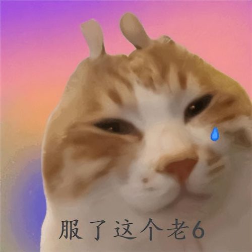 我真的会谢什么意思(我真的会谢是什么意思网络用语)插图26