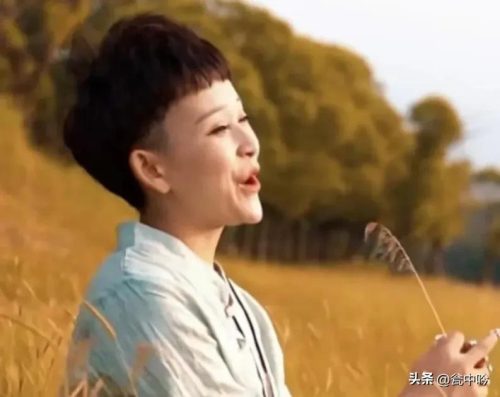 马美如简介 (个人资料)插图4
