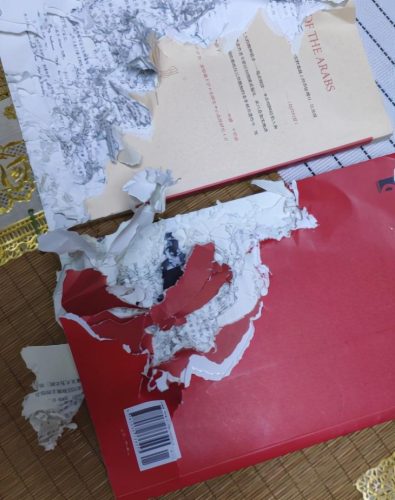 土拨鼠多少钱一只(普通土拨鼠多少一个)插图7