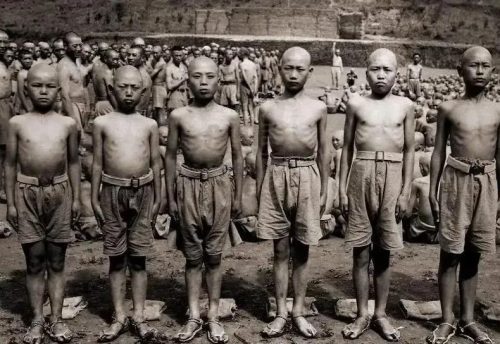 陈睿我早就是日本人了(陈睿日本)插图20