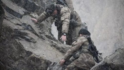 印度死了20人,中国死了多少人(印度一年死多少人)插图
