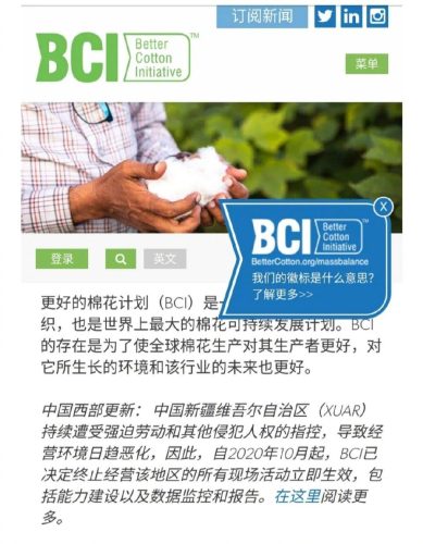 新疆棉花涉事企业名单(新疆棉涉事企业)插图1