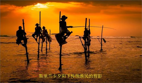 世界平均身高排名(世界女性平均身高排名)插图3
