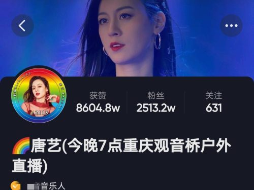网红唐艺个人资料简介及家世(唐艺前夫个人资料)插图1
