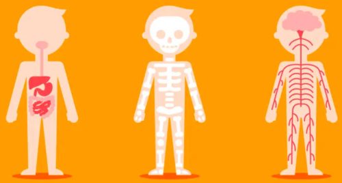 人类以后还会进化吗(现在人类还在进化吗)插图1