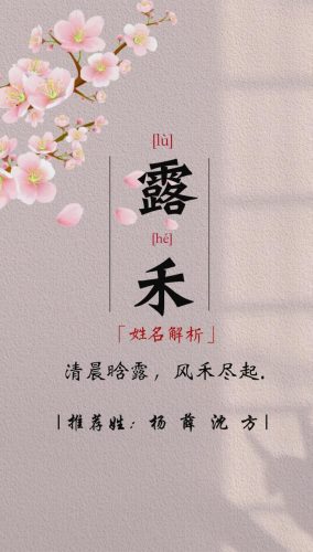 抖音简单气质的女孩名字(抖音好看的女孩名字大全)插图1