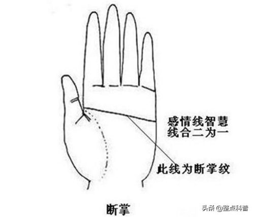 断掌纹的男人婚姻怎么样(双手断掌的男人感情和婚姻)插图3