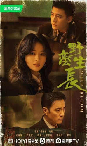 2022年十大必看电视剧(2020年十部必看电视剧)插图18
