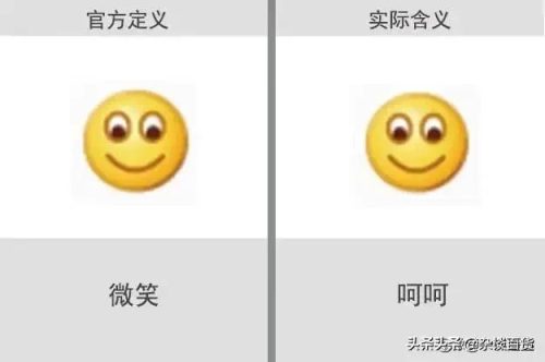 2022微信表情含义图解大全(2023微信表情含义)插图17