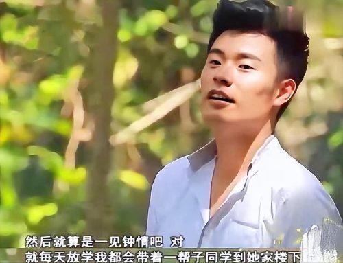 陈赫出轨事件是真的吗(陈赫出轨事件女主)插图21