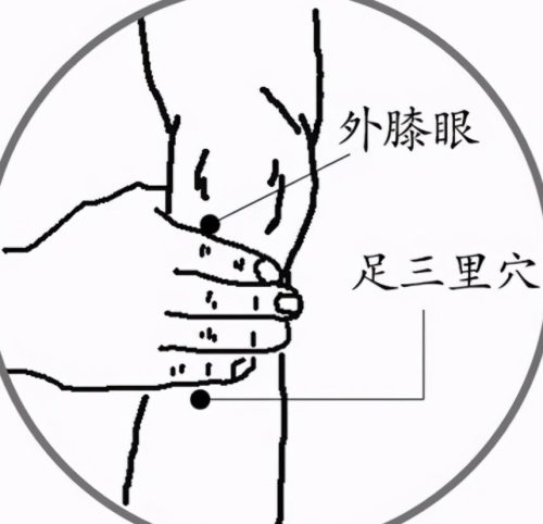 揉自己的痘痘手法图(针清痘痘手法)插图8