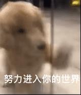 难受的图片和表情包(特别难受的表情包)插图11