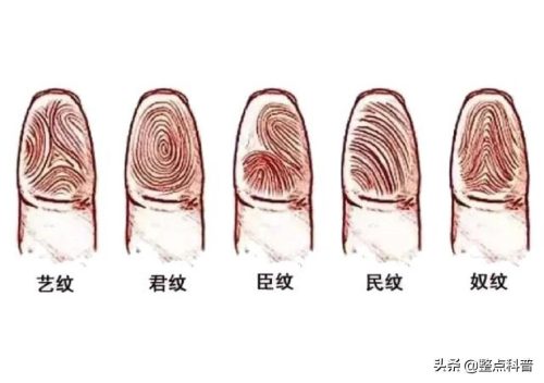断掌纹的男人婚姻怎么样(双手断掌的男人感情和婚姻)插图1