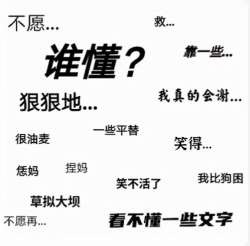 我真的会谢什么意思(我真的会谢是什么意思网络用语)插图19