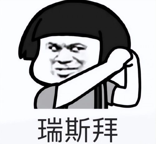 网络语瑞思拜什么意思(我瑞思拜你什么意思)插图