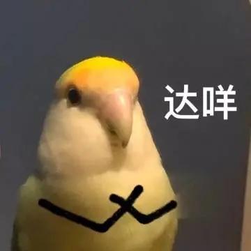 哒咩什么意思(哒咩是什么意思)插图1