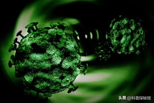 美国为啥要研究病毒害全人类(美国为什么要研究病毒)插图3