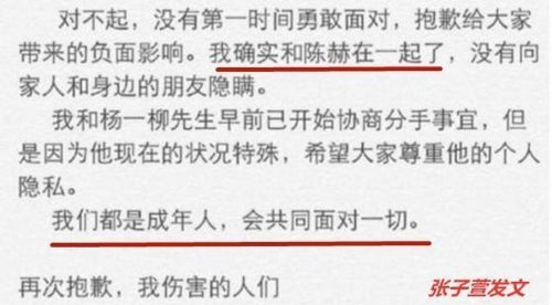 陈赫出轨事件是真的吗(陈赫出轨事件女主)插图48