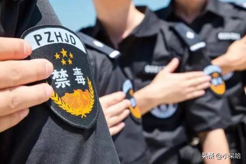 缉毒电视剧名字大全(缉毒题材电视剧大全)插图