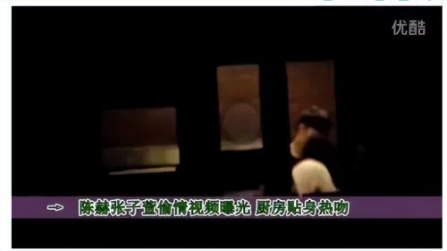 陈赫出轨事件是真的吗(陈赫出轨事件女主)插图1