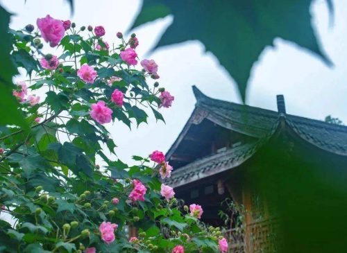 蓉城指的是哪个城市(山城是哪个城市)插图