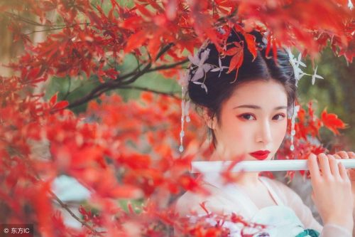 穿越农家三兄弟的幸福生活叶紫苏内容(穿越到农家六兄弟的幸福生活)插图